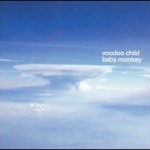 Voodoo Child (Moby) – Baby monkey
