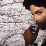 Prince – Musicology