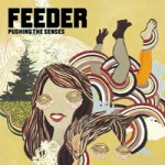 Feeder – Pushing the senses