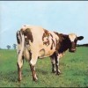 Pink Floyd – Atom Heart Mother