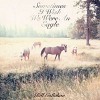 Bill Callahan- Sometimes I wish we were an eagle