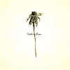 Patrick Watson- Wooden Arms