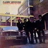 Flamin’ Groovies – Shake some action