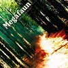 Megafaun – Gather, form and fly