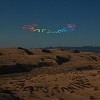 Plants and Animals – La la land
