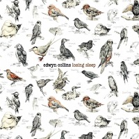 Edwyn-Collins-Losing-Sleep-Album-Art