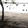 The Tallest Man on Earth- There´s no leaving now
