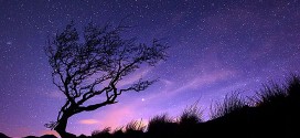 Música para las estrellas