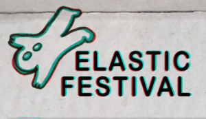 Elastic Festival 2013