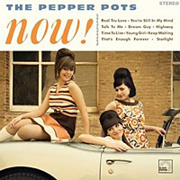 now_pepper_pots_20090528211617