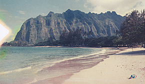 Blackbird_Hawaii Blackbird_Hawaii