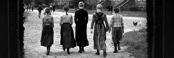 banner_lacintablanca