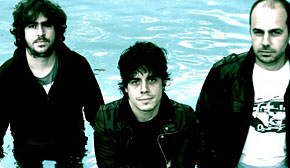 Disco las Palmeras! Disco las Palmeras!