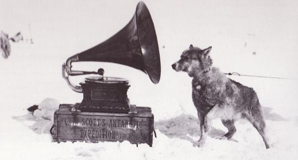 Dog_and_gramophone_-_Terra_Nova_Expedition (1911)