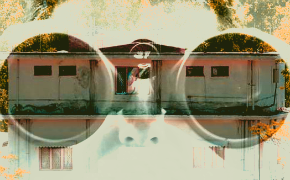 Los libros de la semana