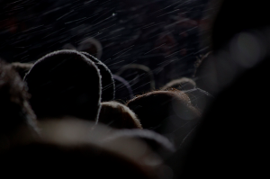 Conciertos de la semana