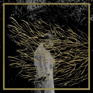 forest_swords_lp_600